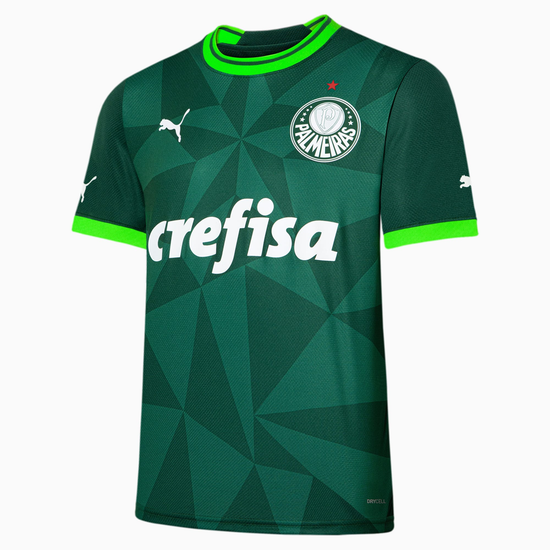 Palmeiras Jersey
